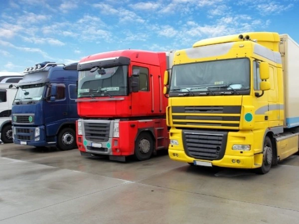 Antalya Mutki Nakliye